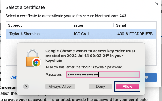 Screenshot of Apple Keychain popup, entering password