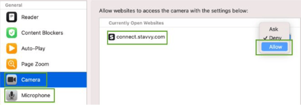 Screenshot of Safari settings